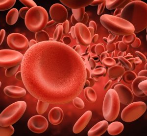 Red blood cells