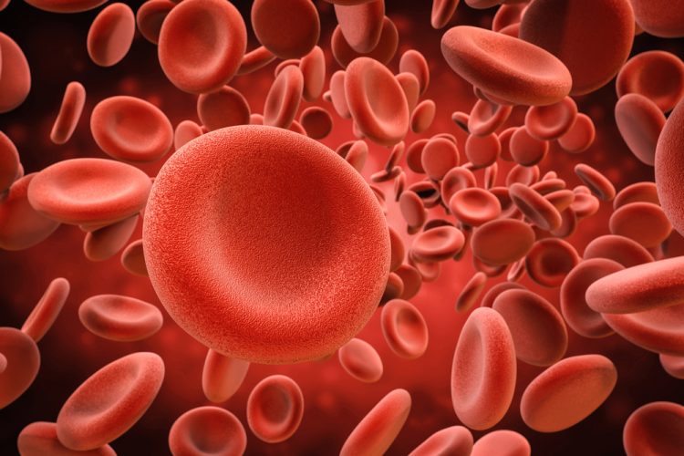 Red blood cells