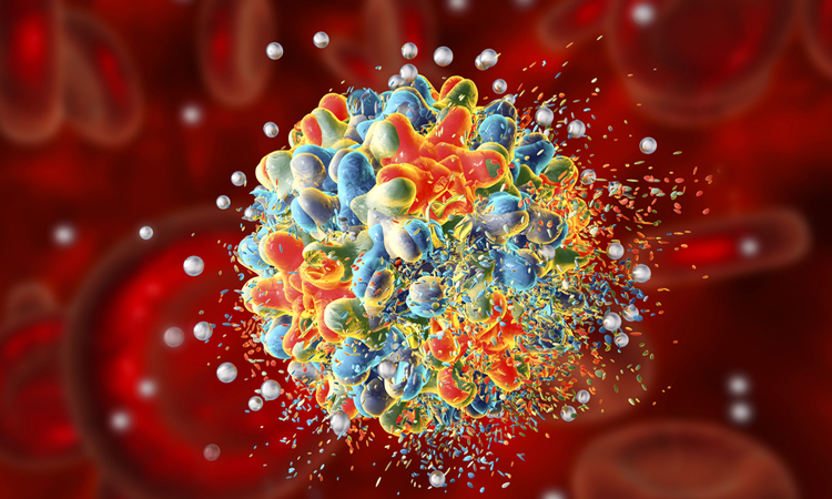 Nanoparticles attacking cell