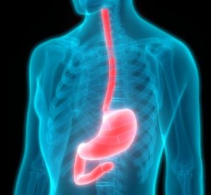Lexicon Novo Nordisk obesity