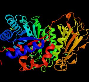 mucopolysaccharidosis type IIIA