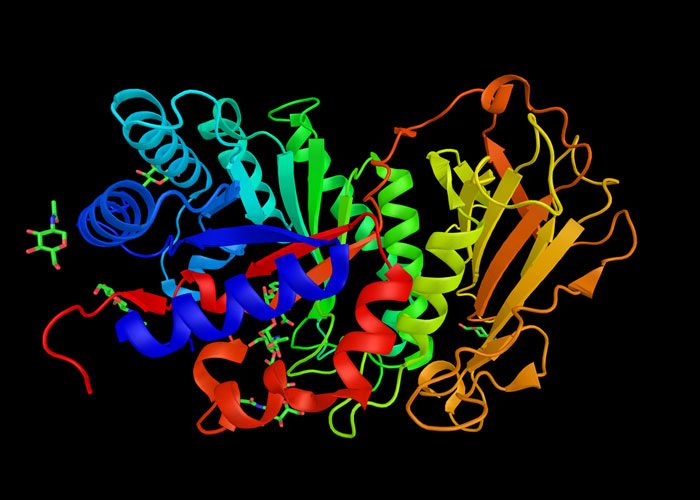 mucopolysaccharidosis type IIIA