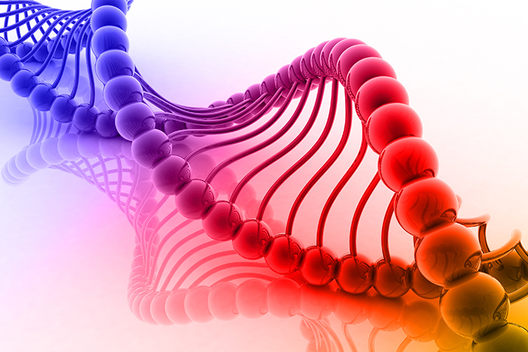 Addressing analytical control strategy challenges for plasmid DNA products