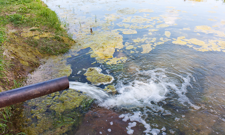 Water coming out of pipe