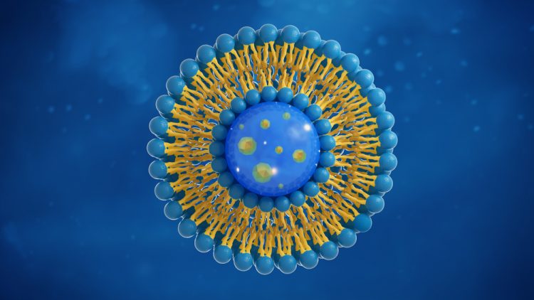 Liposome drug delivery