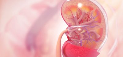 Novartis Vanrafia IgA nephropathy