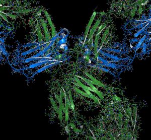 Pembrolizumab structure