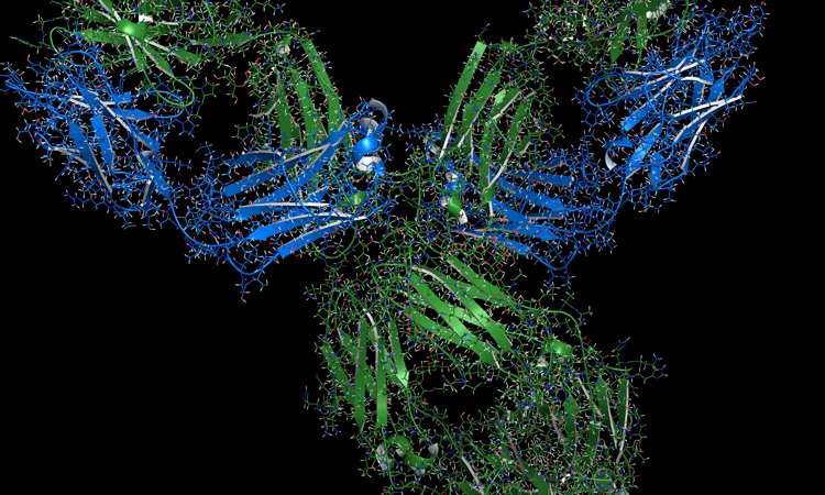 Pembrolizumab structure