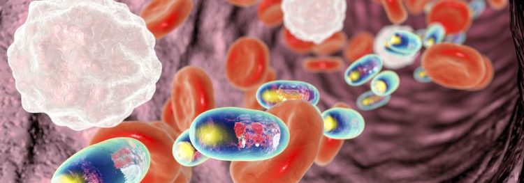 drug delivery Polyelectrolyte complexes (PECs)