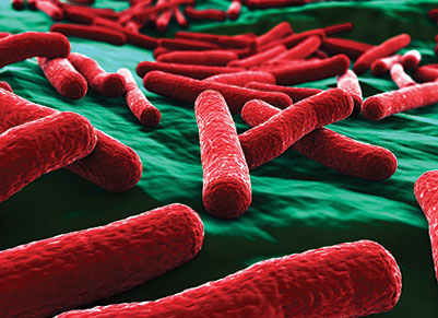 Protein Expression