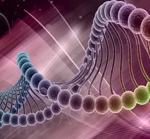 gene expression analysis