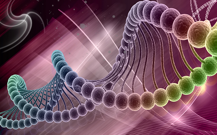 gene expression analysis