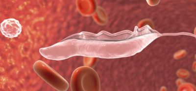 Could acoziborole eliminate sleeping sickness in Africa?
