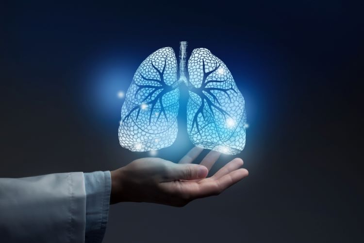 Research predicts 2029 small molecule oncology market leaders - lung cancer treatments