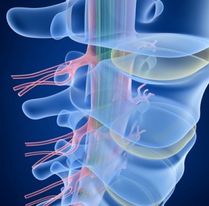 spinal cord injury