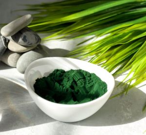 Spirulina and a bowl of spirulina powder on a light background.