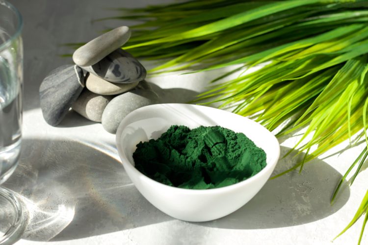 Spirulina and a bowl of spirulina powder on a light background.