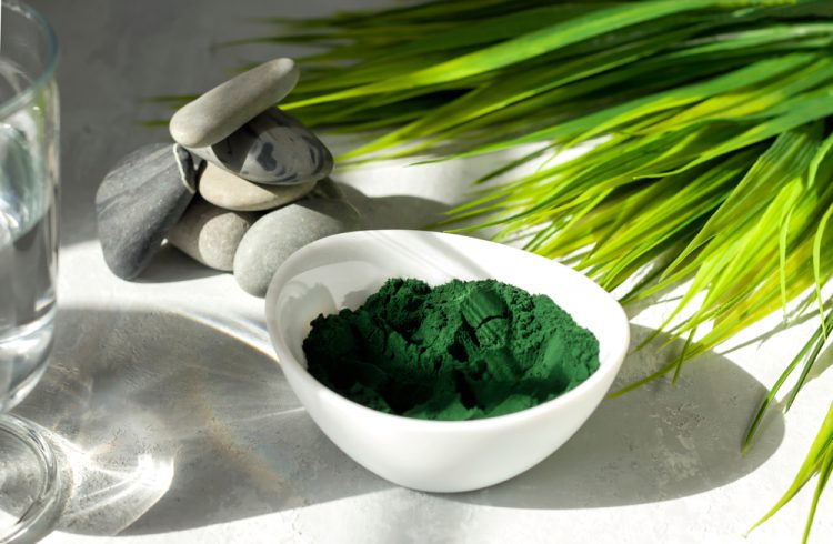 Spirulina and a bowl of spirulina powder on a light background.