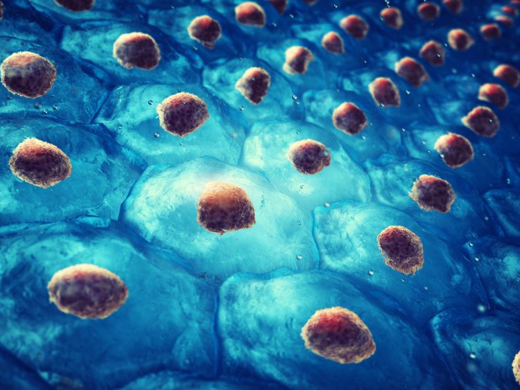 cartoon culture of blue stem cells with orange nuclei