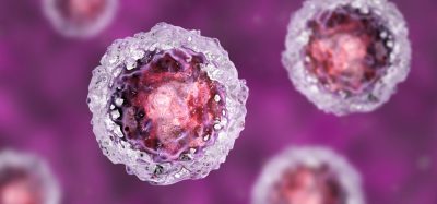 Stem cells on purple background, 3D illustration