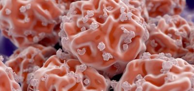 Recent developments in stem cell therapies
