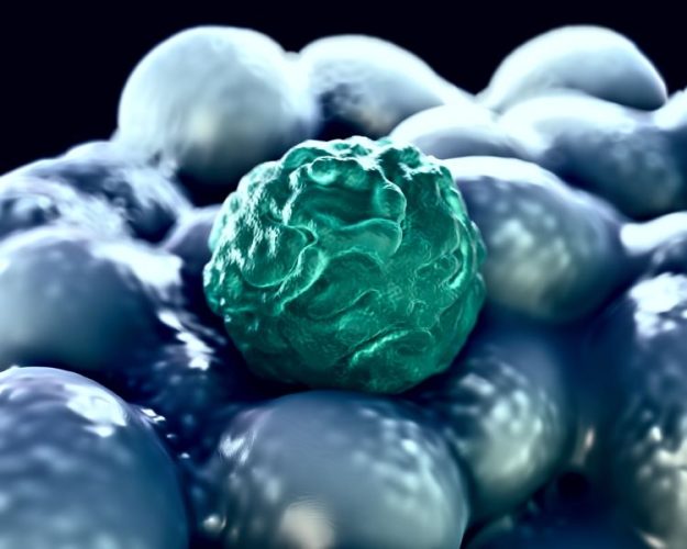 Stem Cells - News, Articles etc. - European Pharmaceutical Review