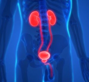 Sustained-release chemotherapy has potential for bladder cancer