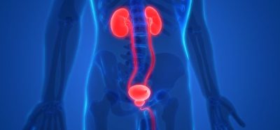 Sustained-release chemotherapy has potential for bladder cancer