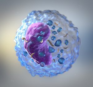 artist rendering of a T cell