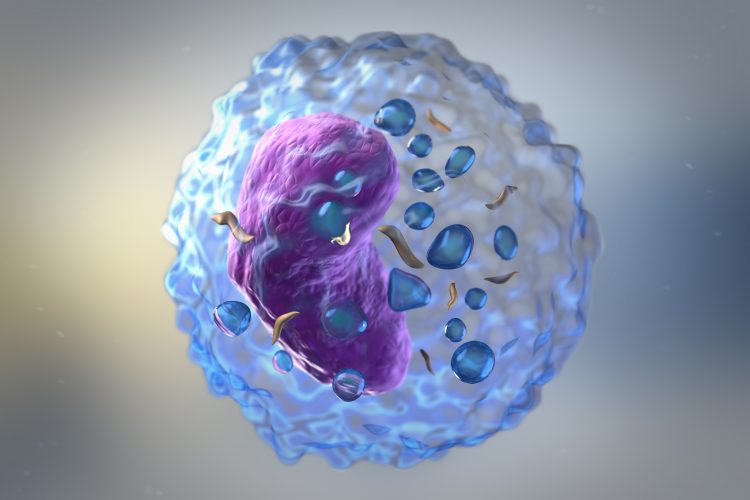artist rendering of a T cell