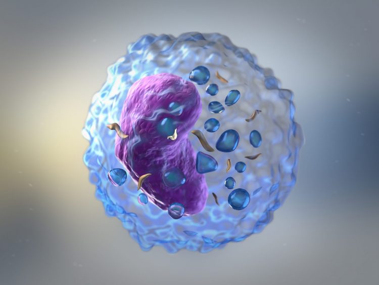 artist rendering of a T cell