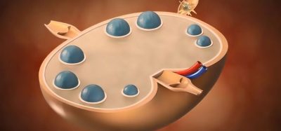 New cell therapy company will treat solid tumours