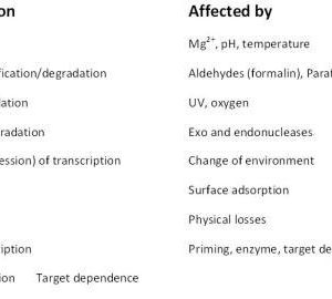 Table 1: Confounding effects influencing measured RNA levels