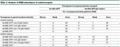 table1