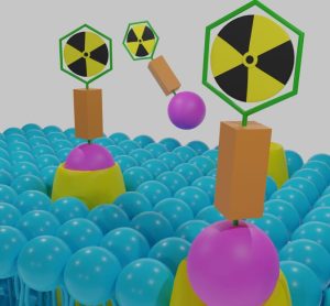 targeted radionuclide therapy