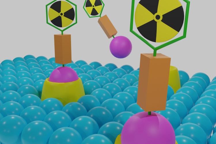 targeted radionuclide therapy