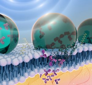 computer image of three blue sperical nanoparticles at a lipid bilayer/cell membrane releasing antibodies