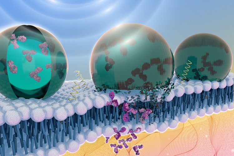 computer image of three blue sperical nanoparticles at a lipid bilayer/cell membrane releasing antibodies