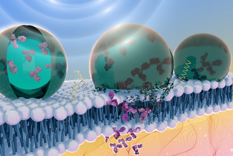 computer image of three blue sperical nanoparticles at a lipid bilayer/cell membrane releasing antibodies