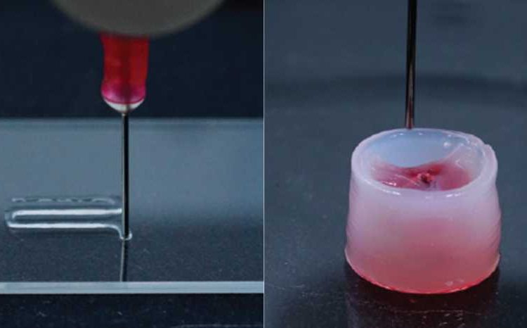 Images of the carrier ink flowing through the 3D printer nozzle and a shape that had set after being printed