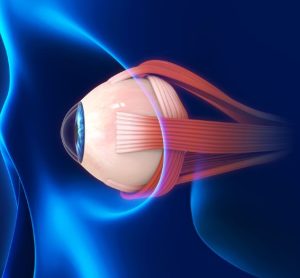 Genentech to reveal new data for ocular biologic vabysmo at 2023 ASRS