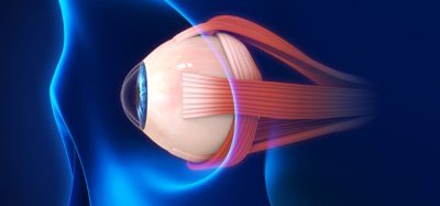 Genentech to reveal new data for ocular biologic vabysmo at 2023 ASRS