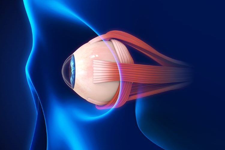 Genentech to reveal new data for ocular biologic vabysmo at 2023 ASRS