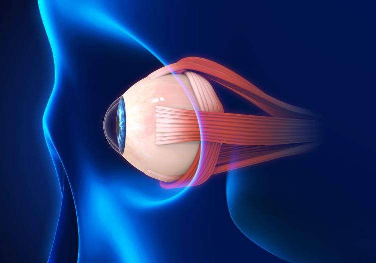 Genentech to reveal new data for ocular biologic vabysmo at 2023 ASRS