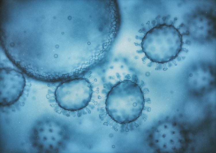 Viral structure. Viral particle is made up of a nucleus of nucleic acid (DNA or RNA) surrounded by a protein coat. Conceptual illustrative virus. 3D illustration.