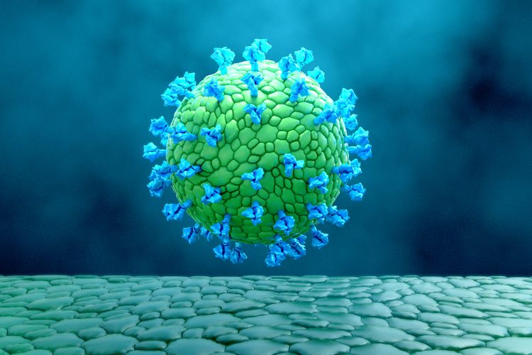 coronavirus virus-like particle