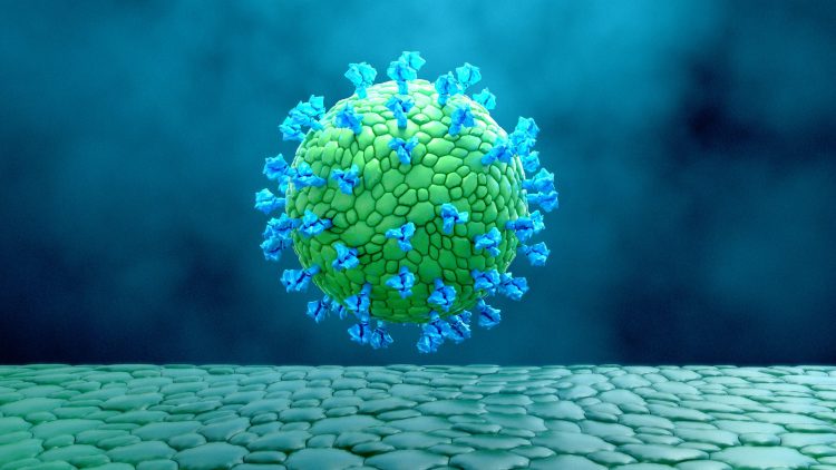 coronavirus virus-like particle