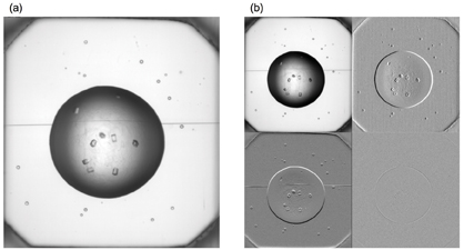 Figure 1: A single-level wavelet decomposition of the image in (a) is shown in (b). The four sub-images show smooth approximation (top-left), obtained by applying the low-pass filter in both x and y directions, the vertical details (top-right), obtained by applying the high-pass filter along x and the low-pass filter along y, the horizontal details (bottom left), obtained by applying the low-pass filter along x and the high-pass filter along y and the diagonal details (bottom right), obtained by applying the high-pass filter along both x and y.