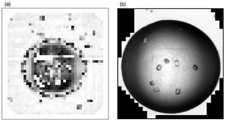 Figure 2: The image obtained by combining the three detail sub-images from the fourth level of the wavelet transform is shown in (a) for the image in Figure 1. The coarse mask obtained from this, applied to the image, is shown in (b).