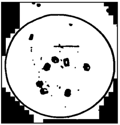 Figure 3: The pixels identified as object pixels for the image in Figure 1 are shown in black.